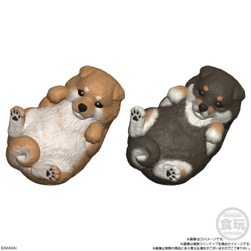 SHOKUGAN - Moocchiri Cororin Dogs Assortment