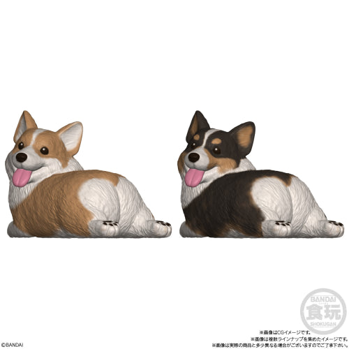 SHOKUGAN - Moocchiri Cororin Dogs Assortment