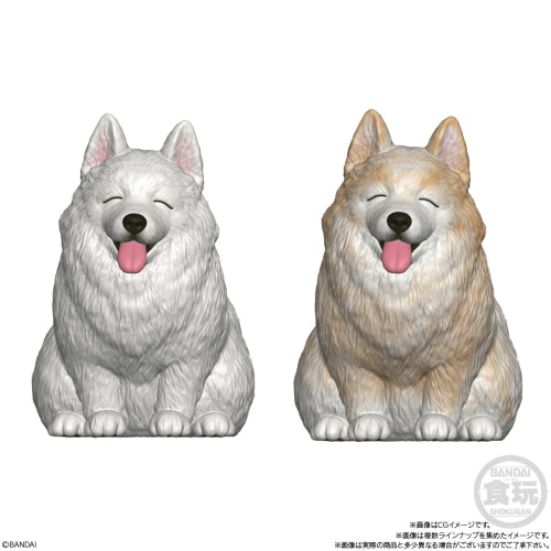 SHOKUGAN - Moocchiri Cororin Dogs Assortment