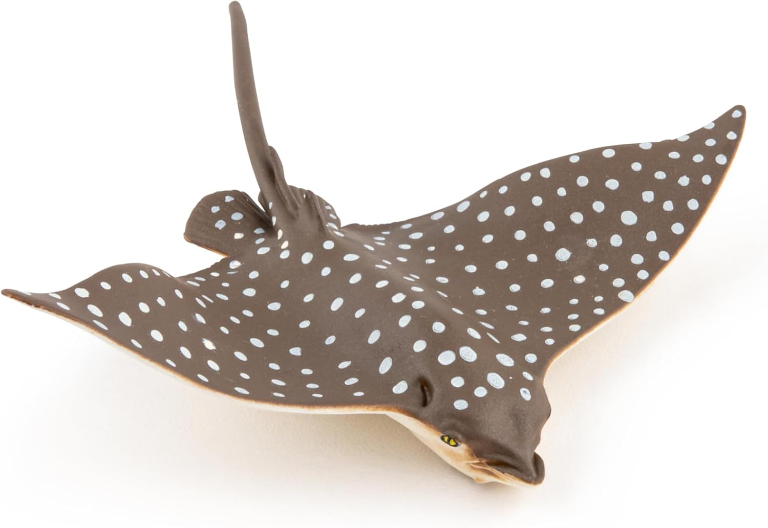 MOJO - Spotted Eagle Ray