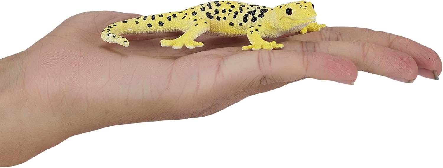 MOJO - Leopard Gecko