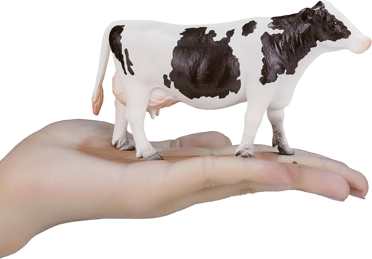 MOJO - Holstein Cow