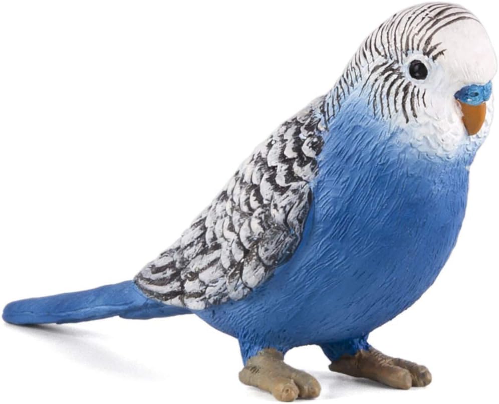 MOJO - Budgerigar Blue