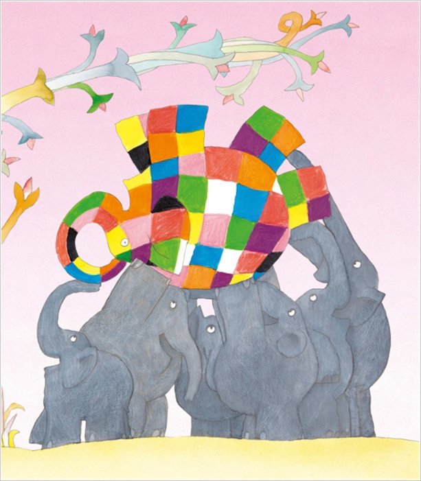 Elmer Softback Book