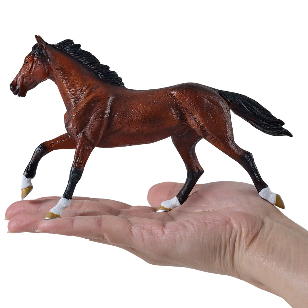 MOJO - Thoroughbred Horse
