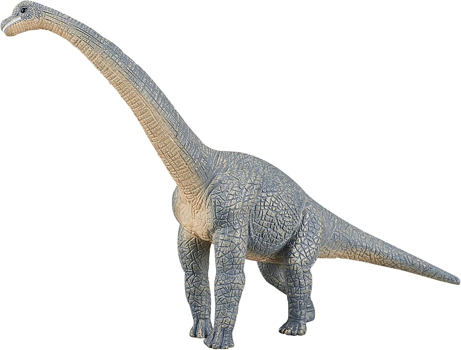 MOJO - Brachiosaurus Blue