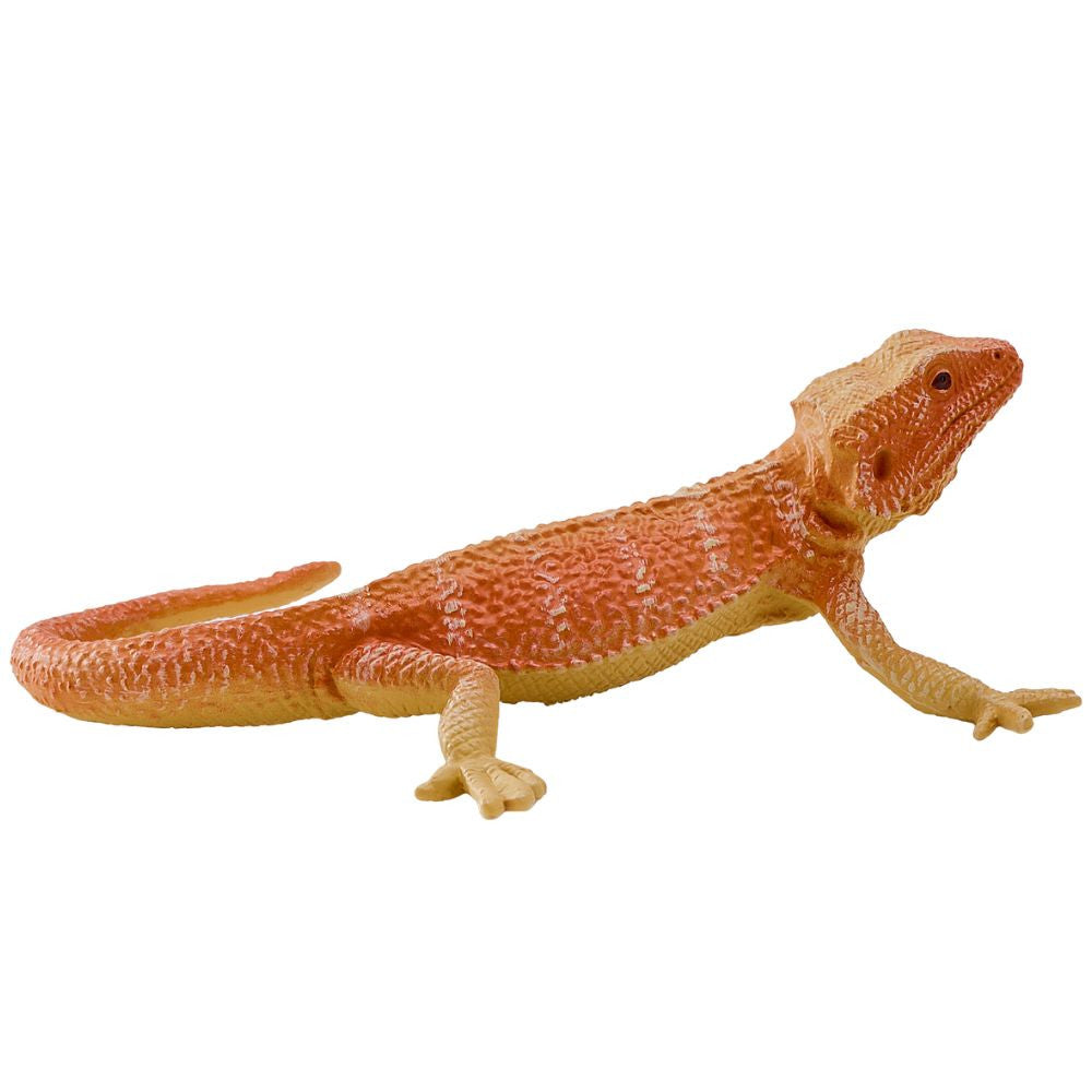 MOJO - Bearded Dragon