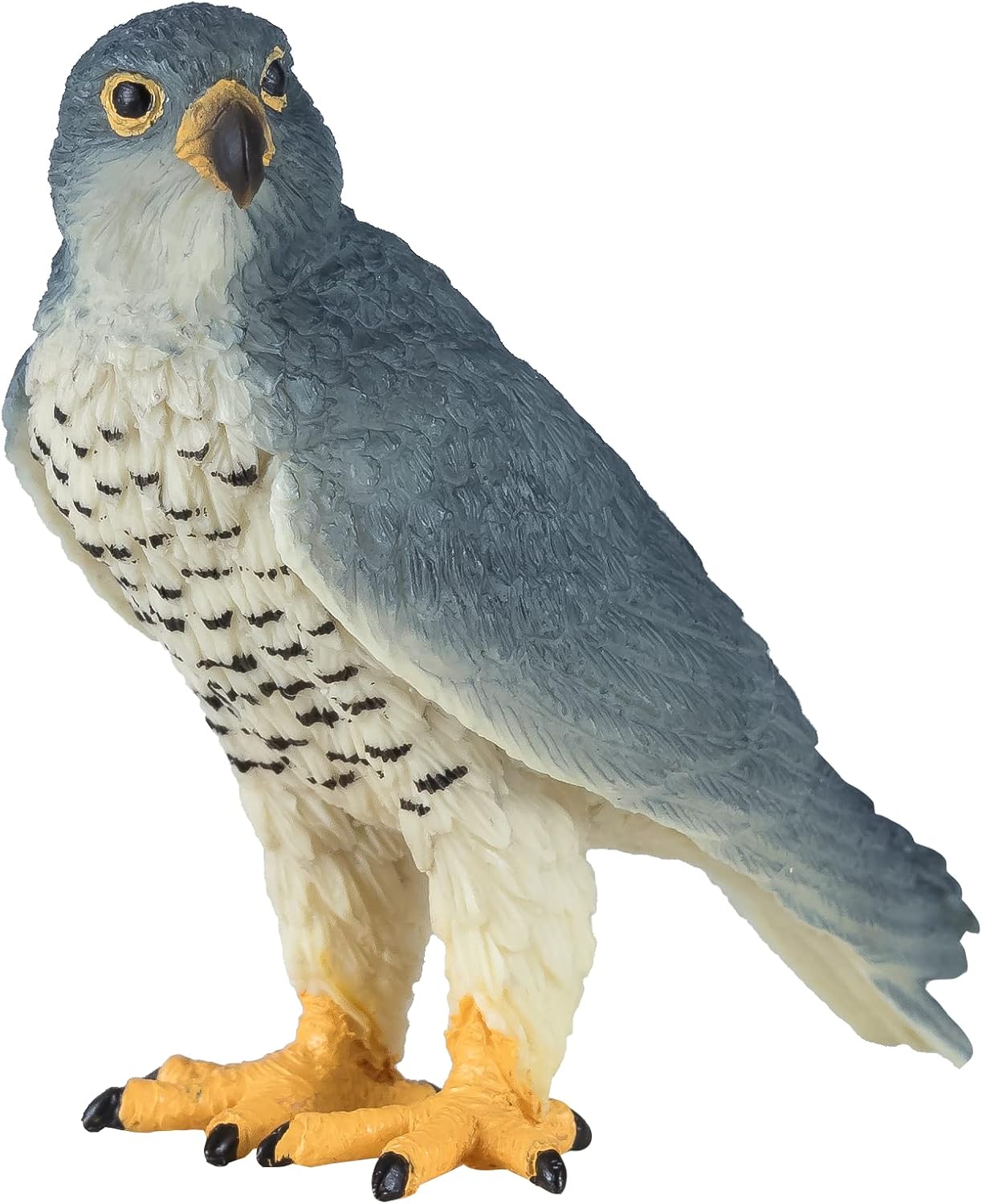 MOJO - Peregrine Falcon