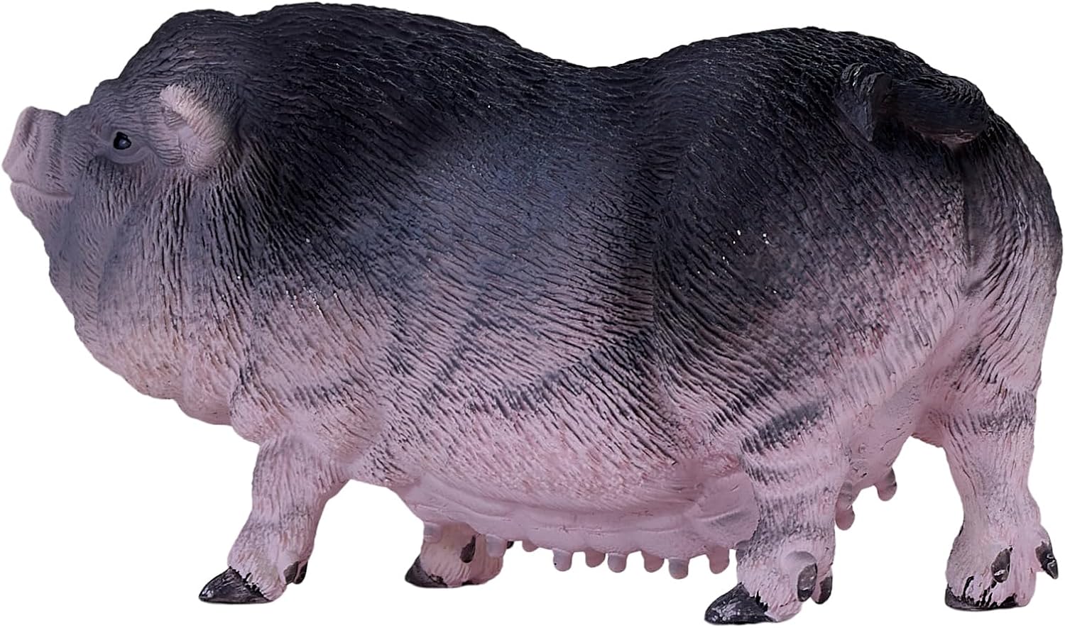 MOJO - Pot Bellied Pig