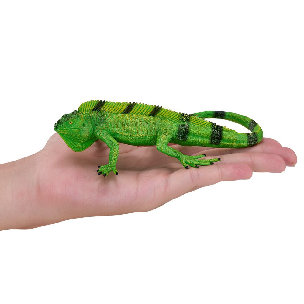 MOJO - Iguana