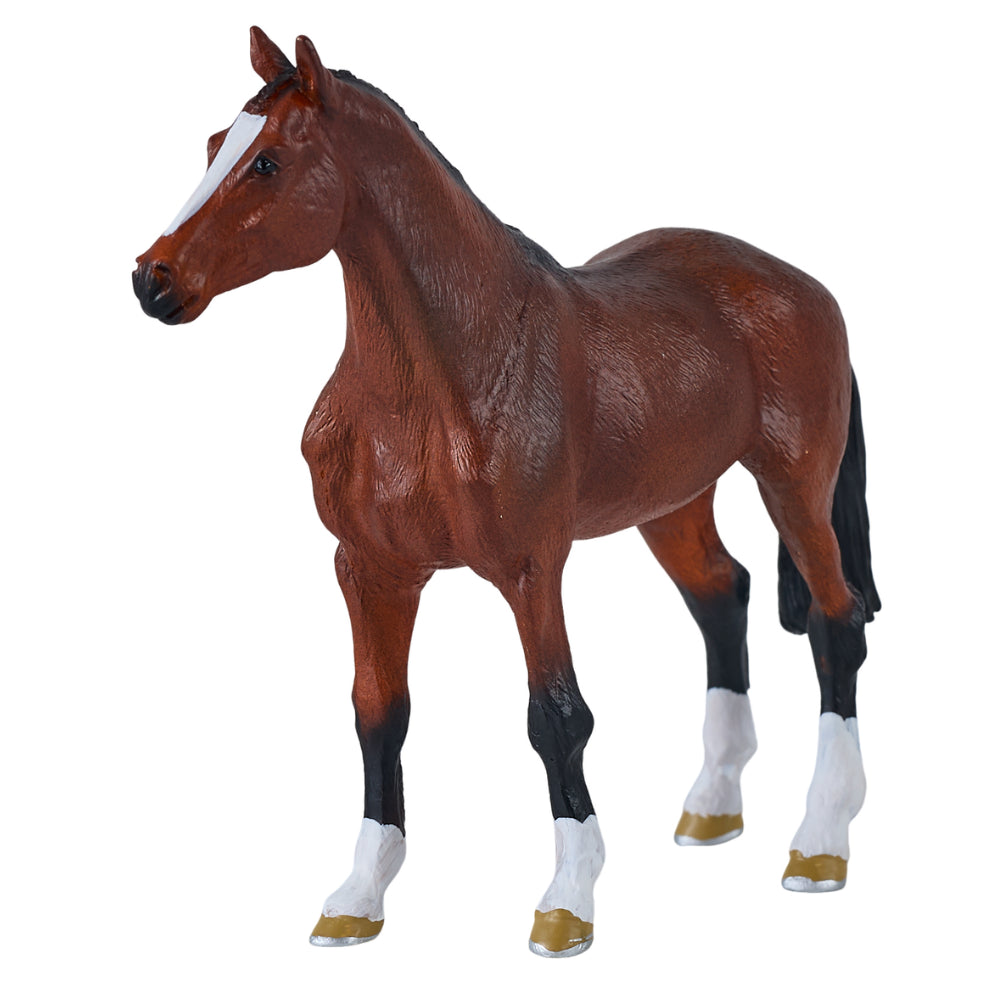 MOJO - Dutch Warmblood Horse