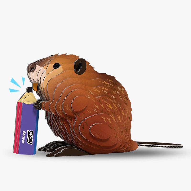 EUGY Beaver