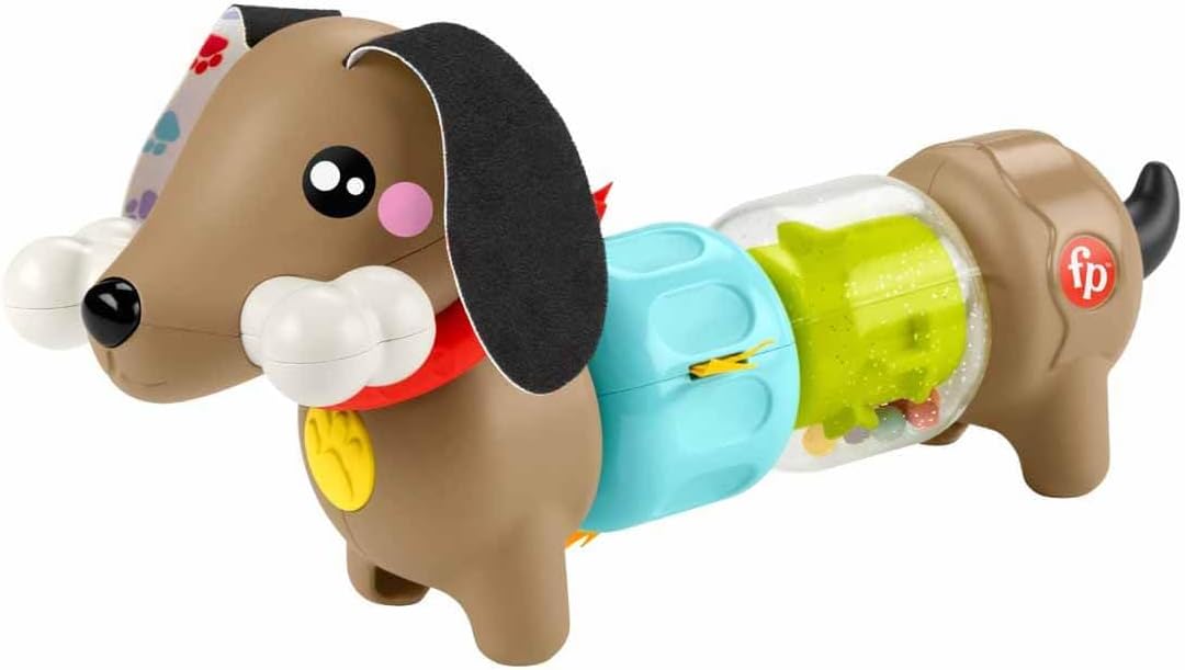 Fisher Price Click & Spin Activity Pup