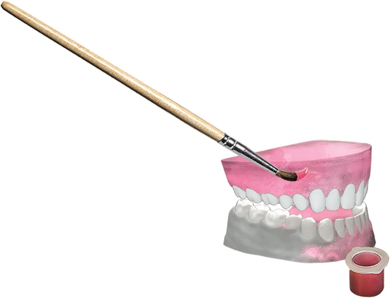 Clementoni Super Anatomy Set