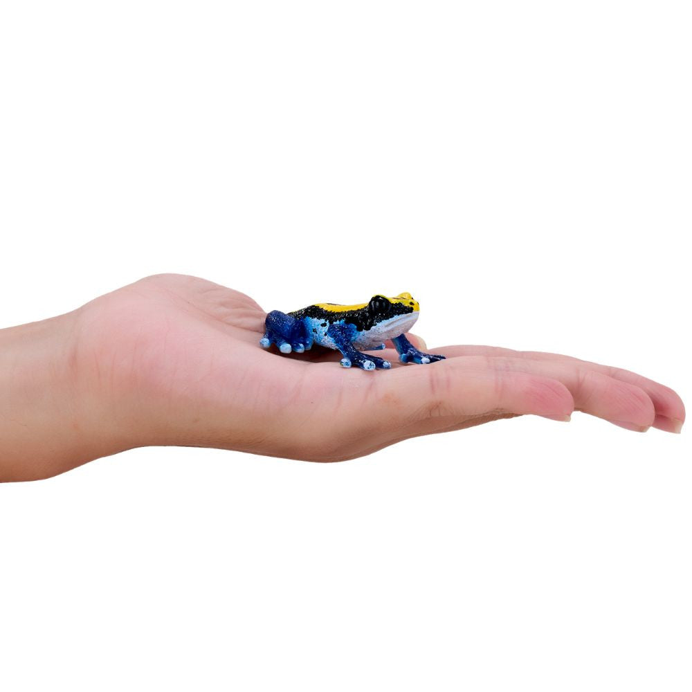 MOJO - Poison Dart Frog Blue