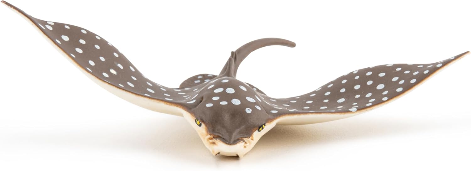 MOJO - Spotted Eagle Ray