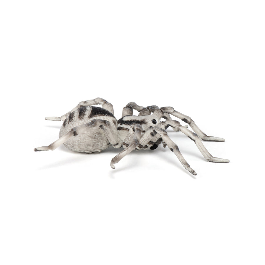 Papo Tarantula