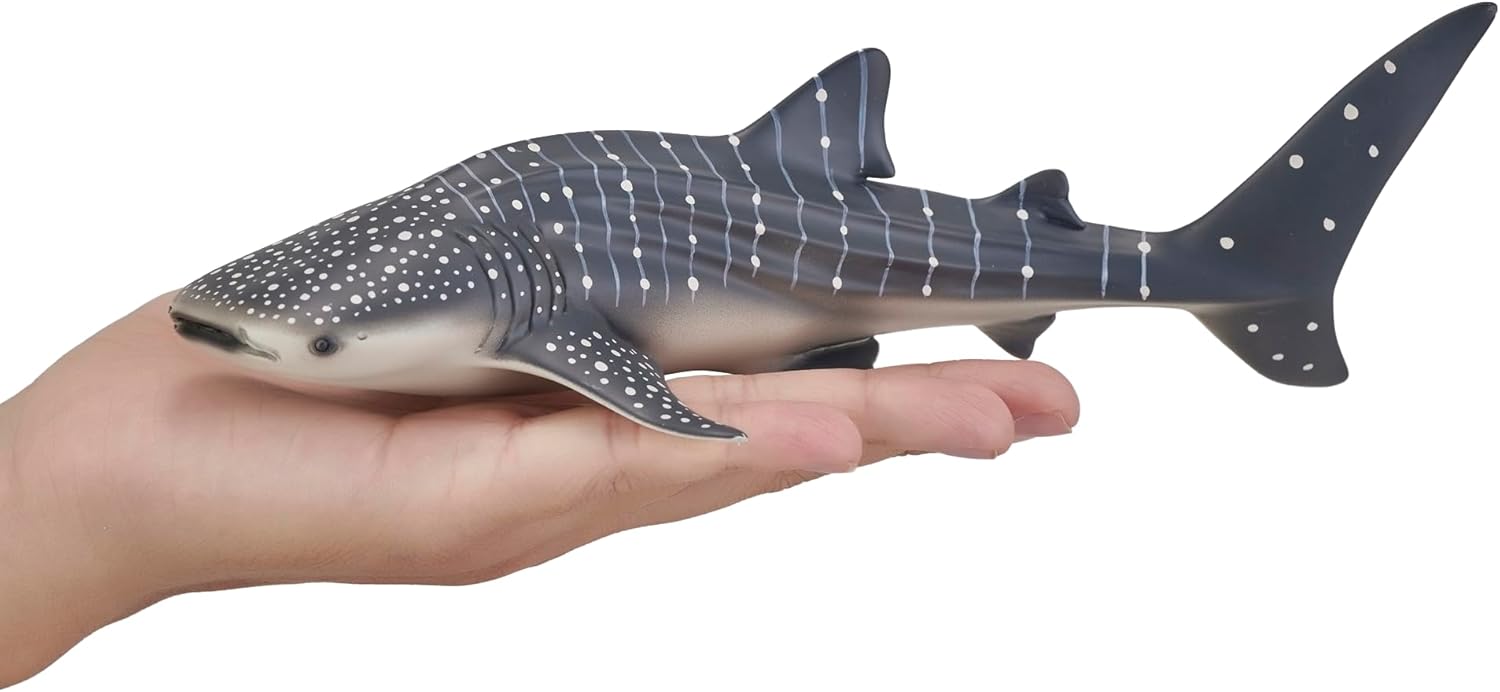 MOJO - Whale Shark