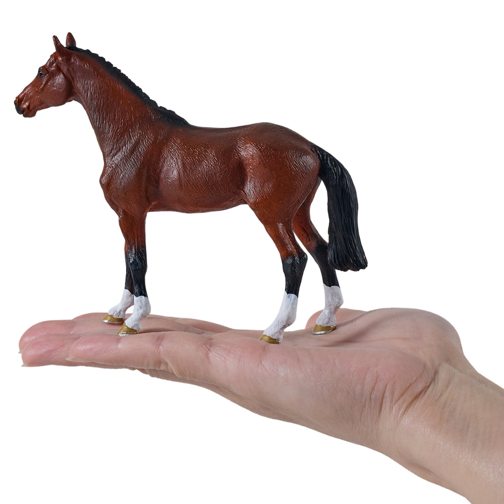 MOJO - Dutch Warmblood Horse