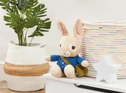 Talking Peter Rabbit Soft Toy