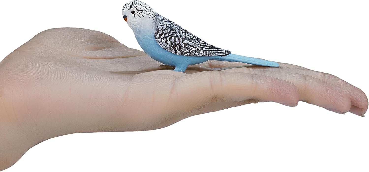 MOJO - Budgerigar Blue