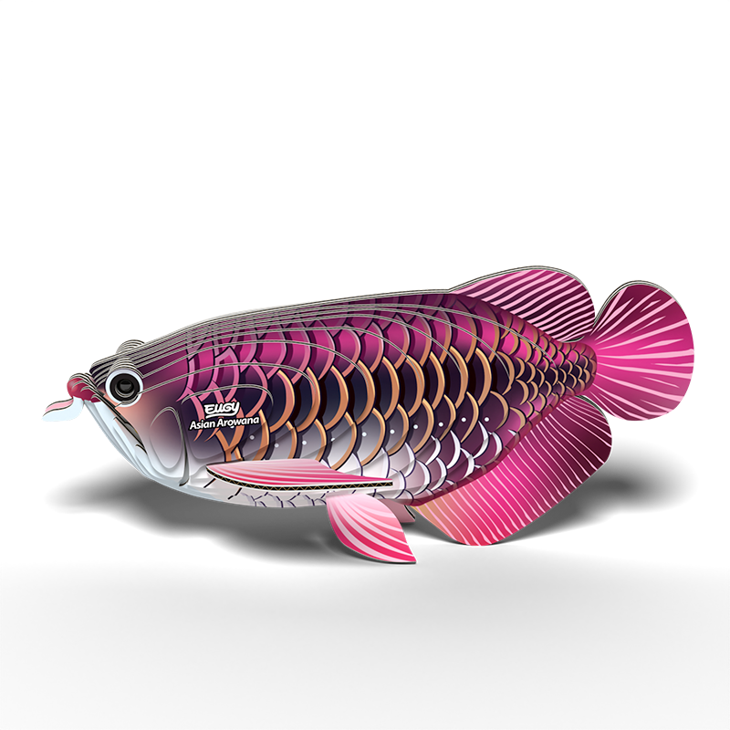 EUGY Asian Arowana