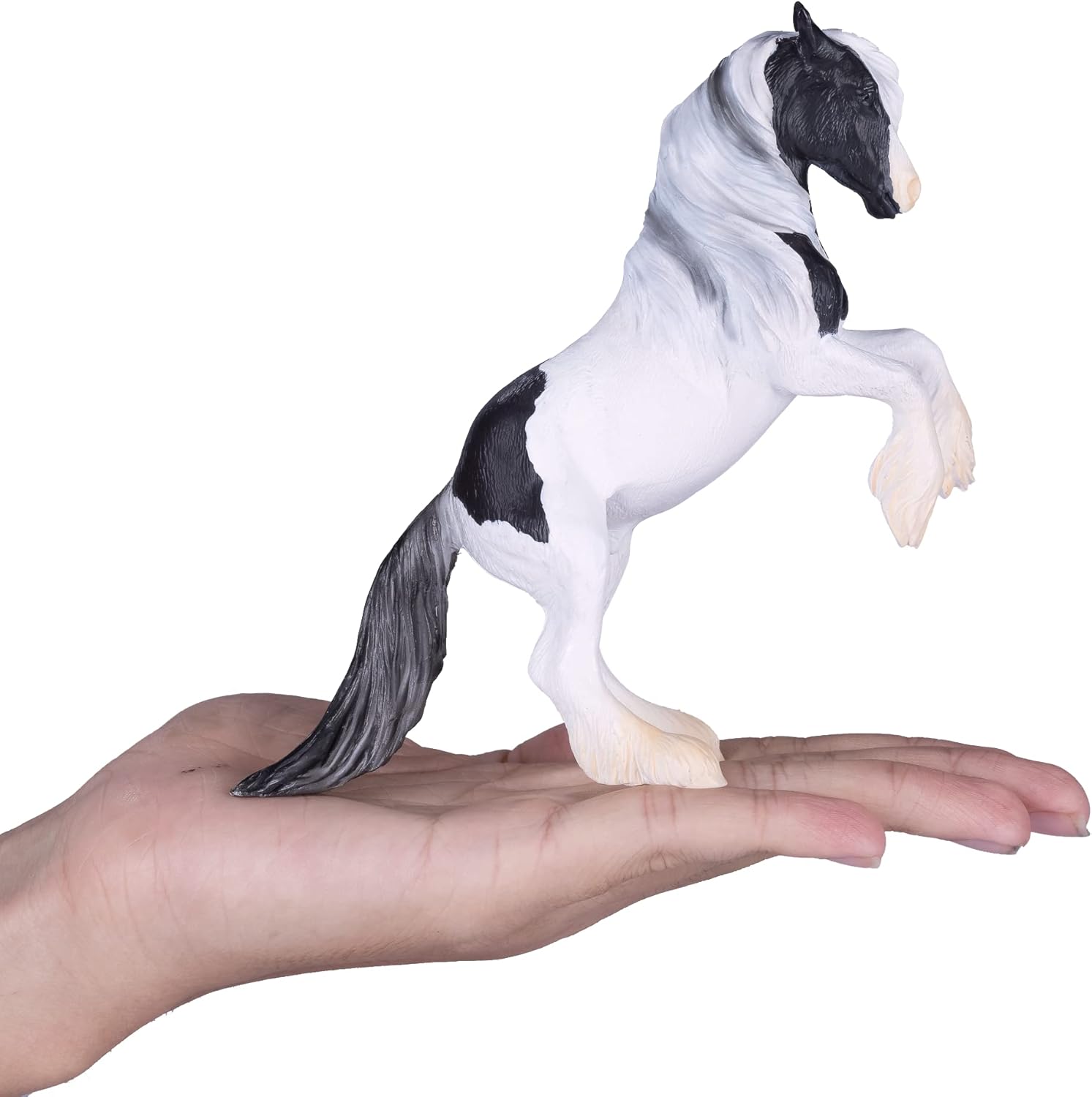 MOJO - Irish Cob Stallion