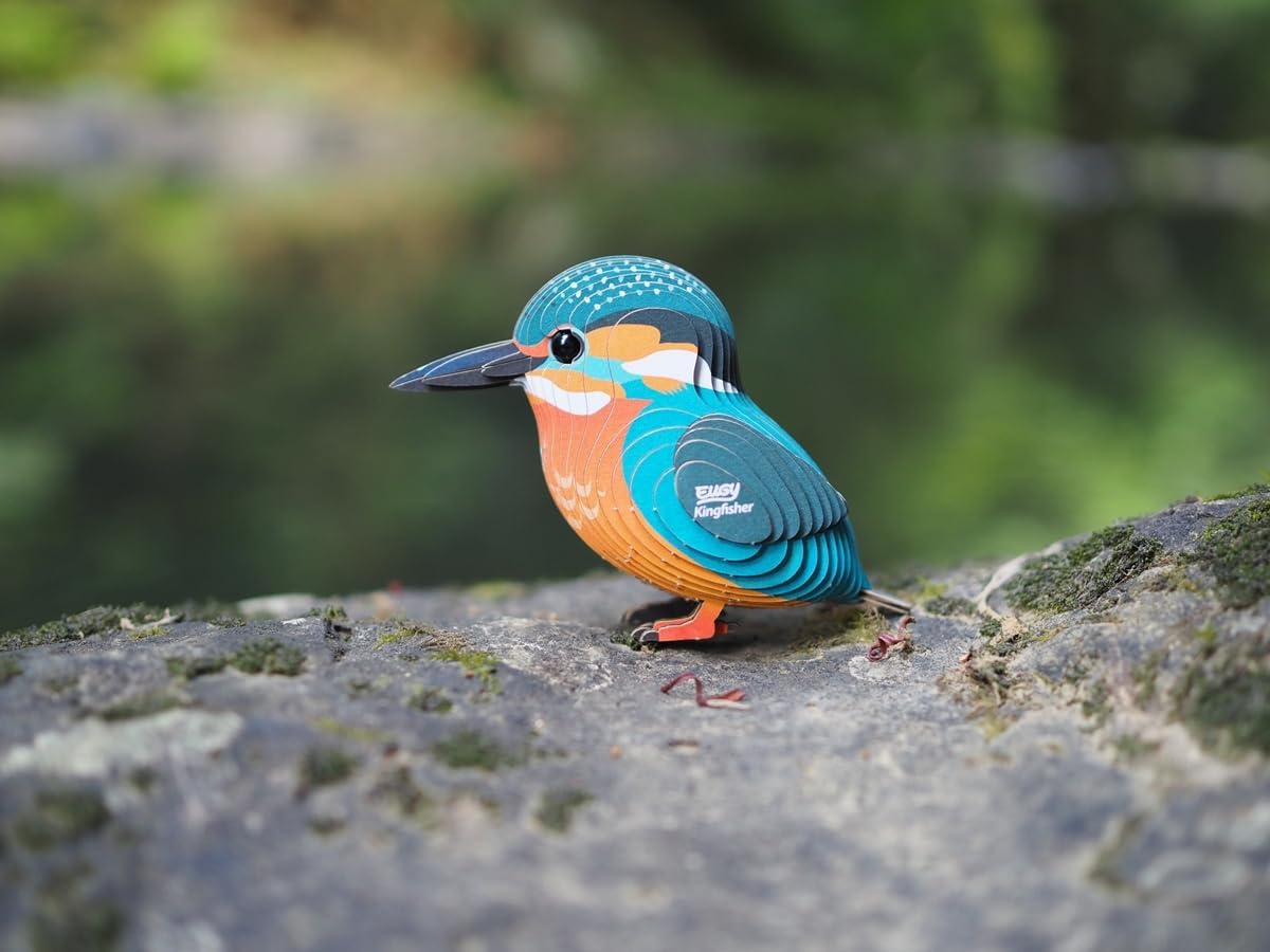 EUGY Kingfisher