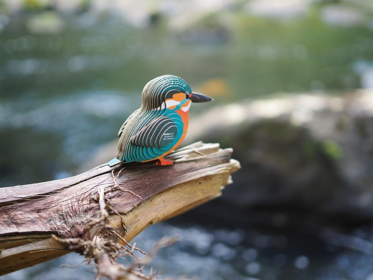 EUGY Kingfisher