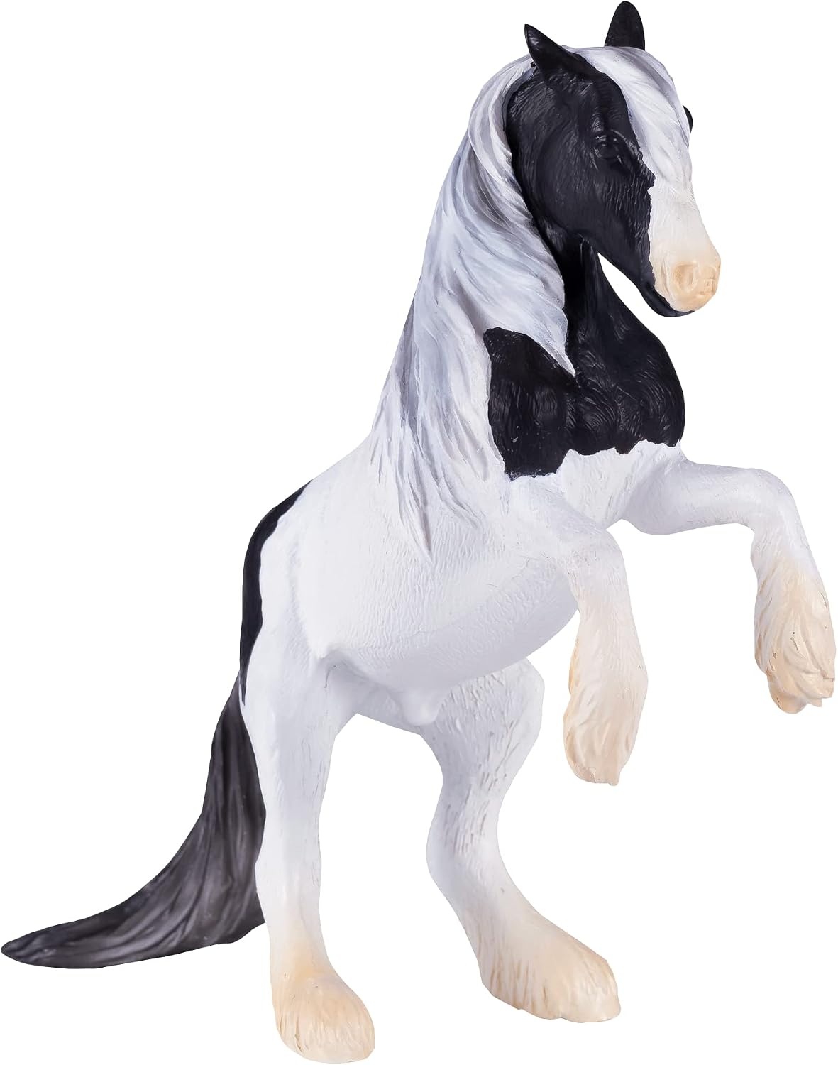 MOJO - Irish Cob Stallion