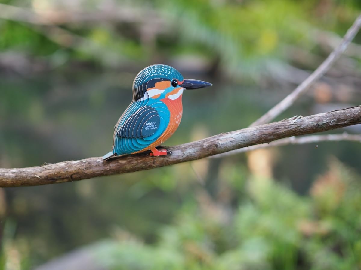EUGY Kingfisher