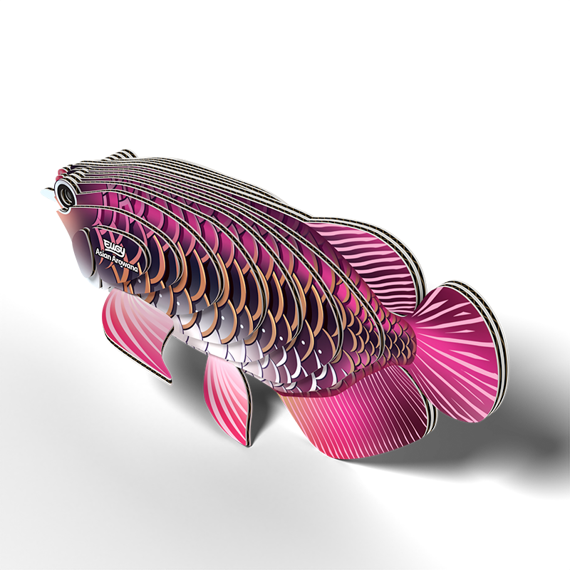 EUGY Asian Arowana