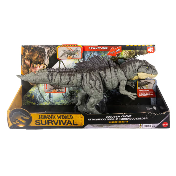 Jurassic World Survival Colossal Chomp Giganotosaurus Action Figure
