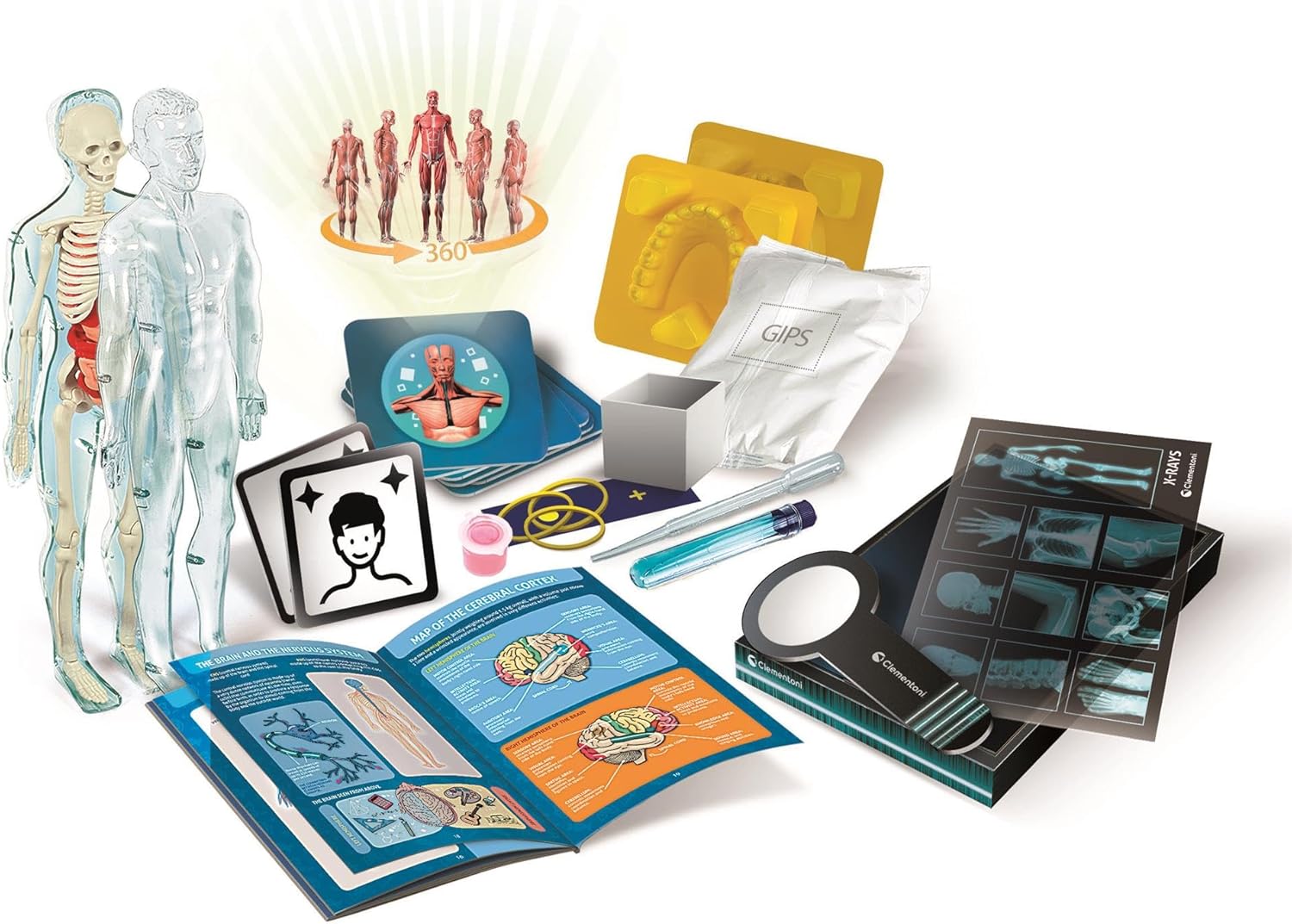 Clementoni Super Anatomy Set