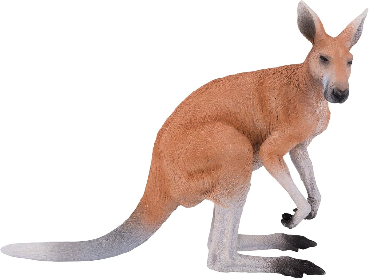 MOJO - Kangaroo