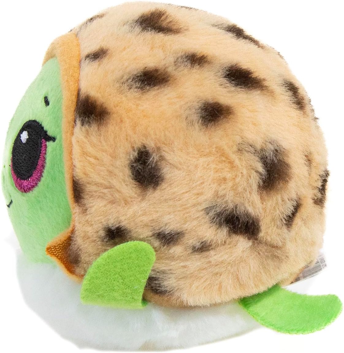 TY Cruiser Turtle Bouncer