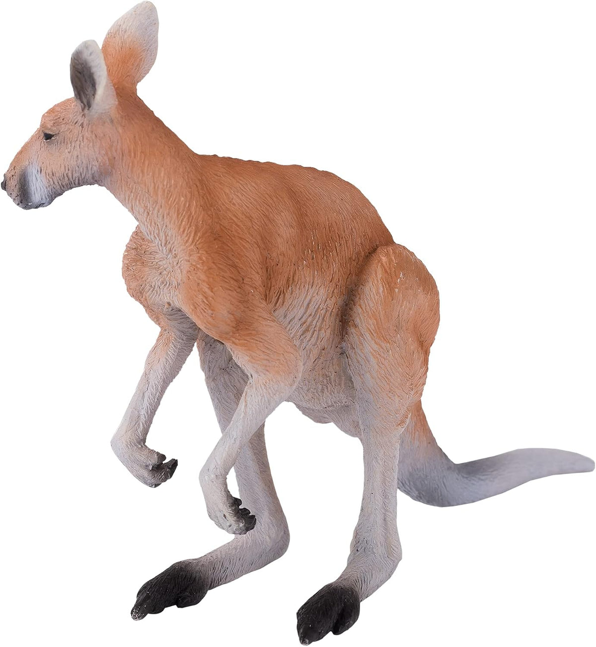 MOJO - Kangaroo