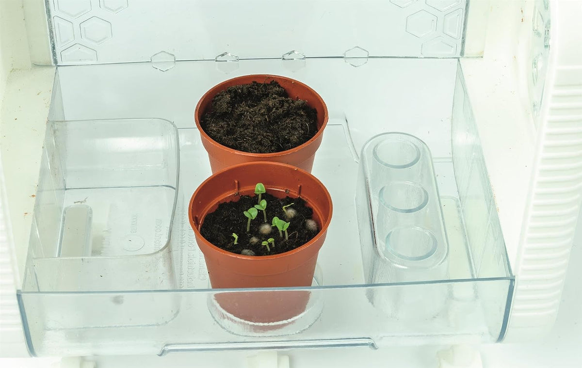 High Tech Greenhouse
