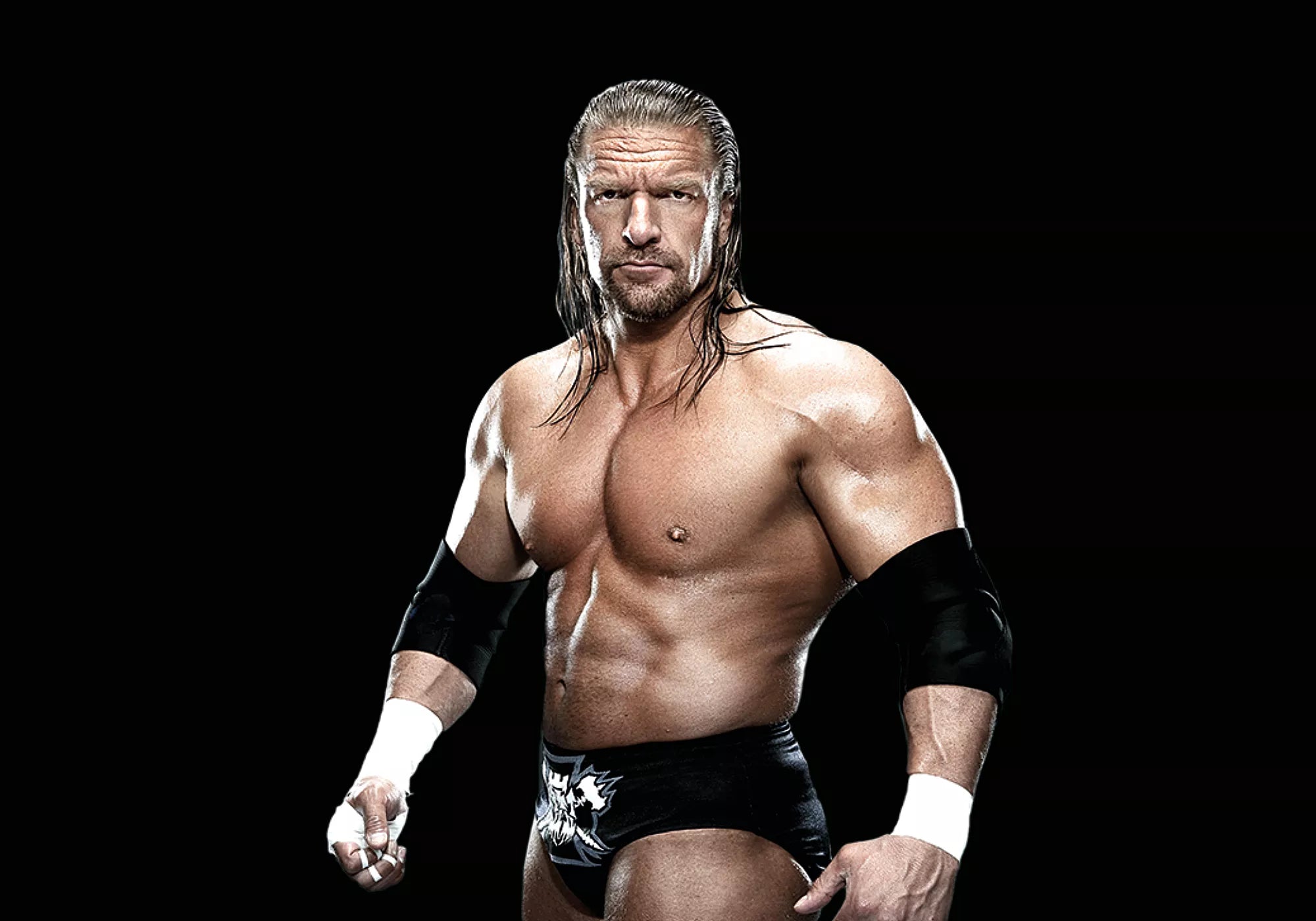 Playmobil WWE Triple H