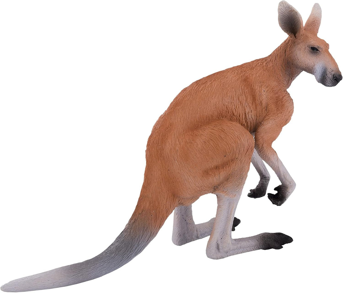 MOJO - Kangaroo