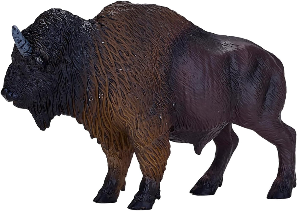MOJO - American Bison / Buffalo