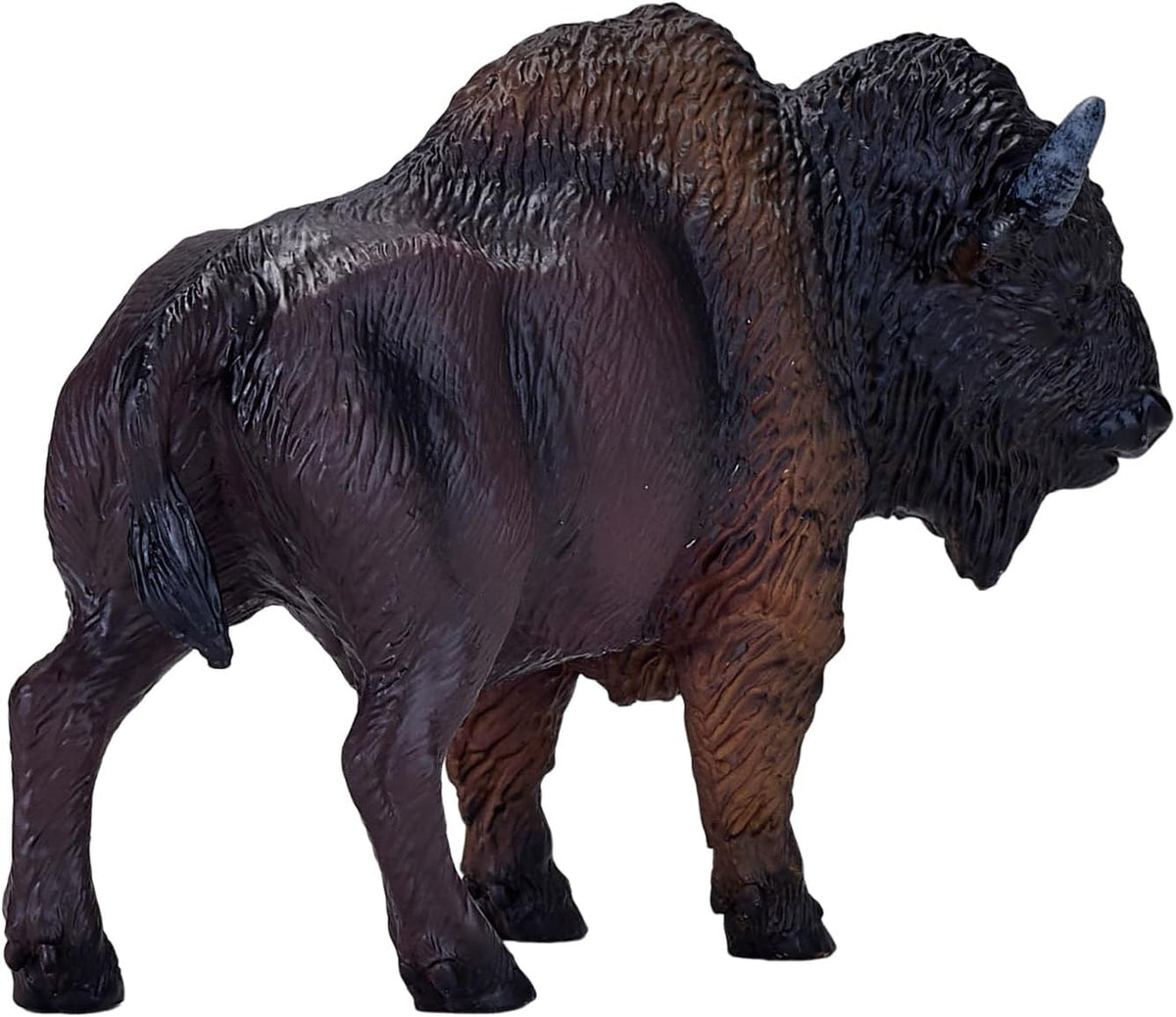 MOJO - American Bison / Buffalo