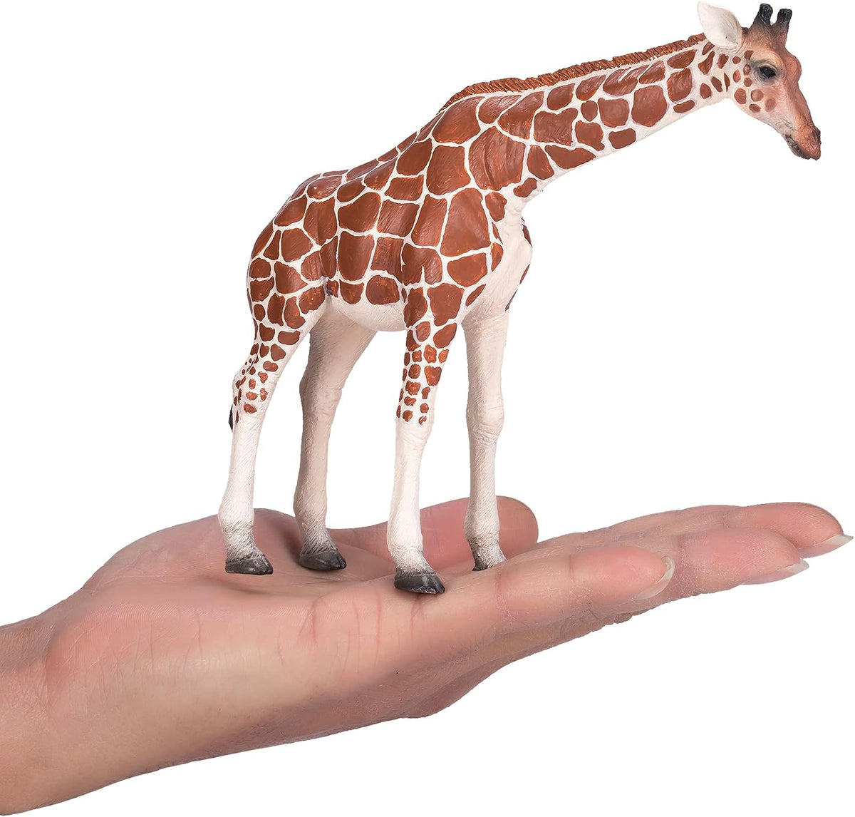 MOJO - Giraffe Female