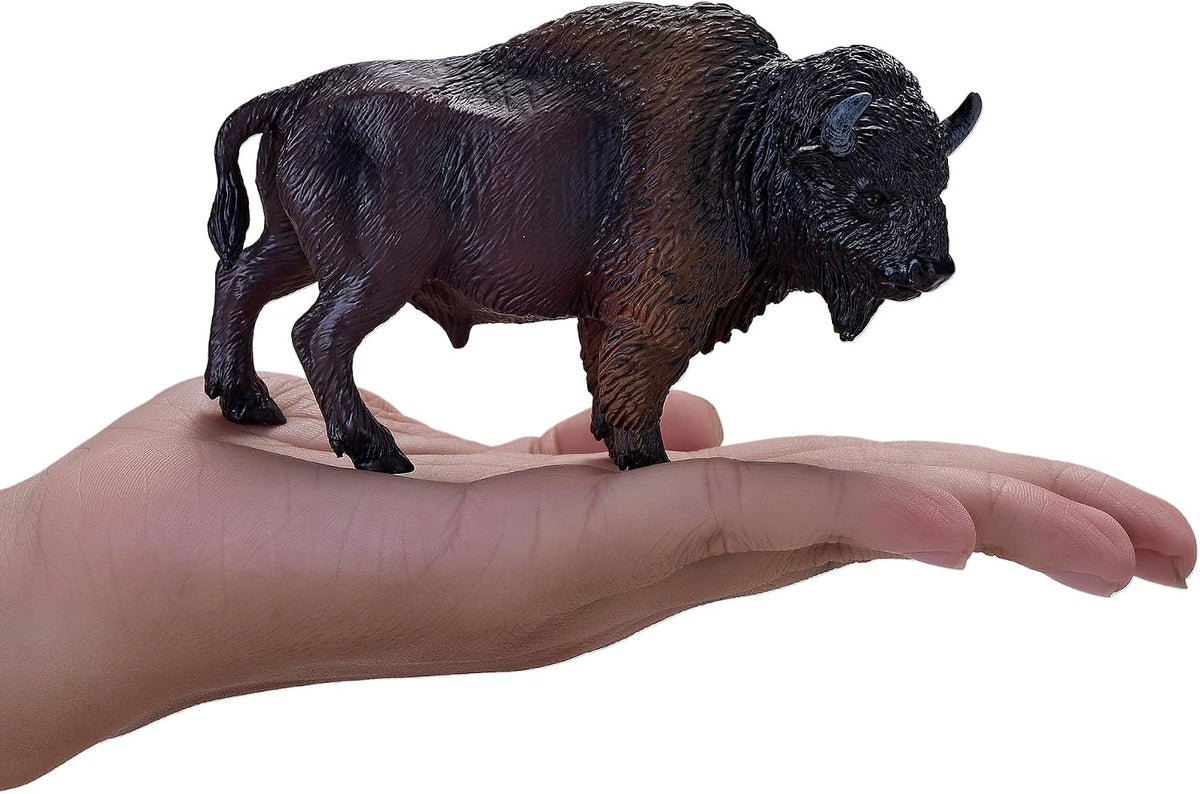 MOJO - American Bison / Buffalo
