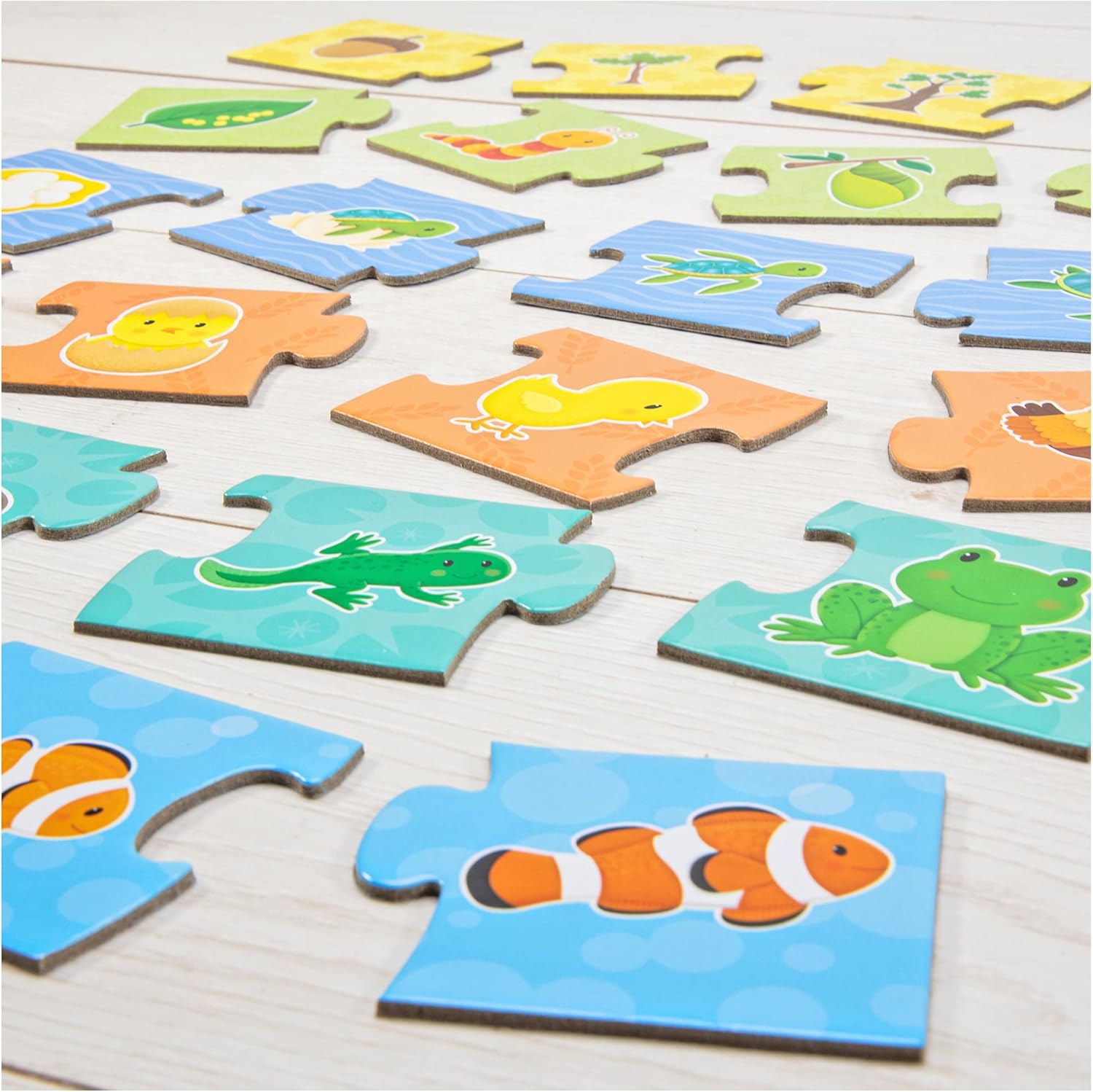 Galt How Things Grow Puzzle