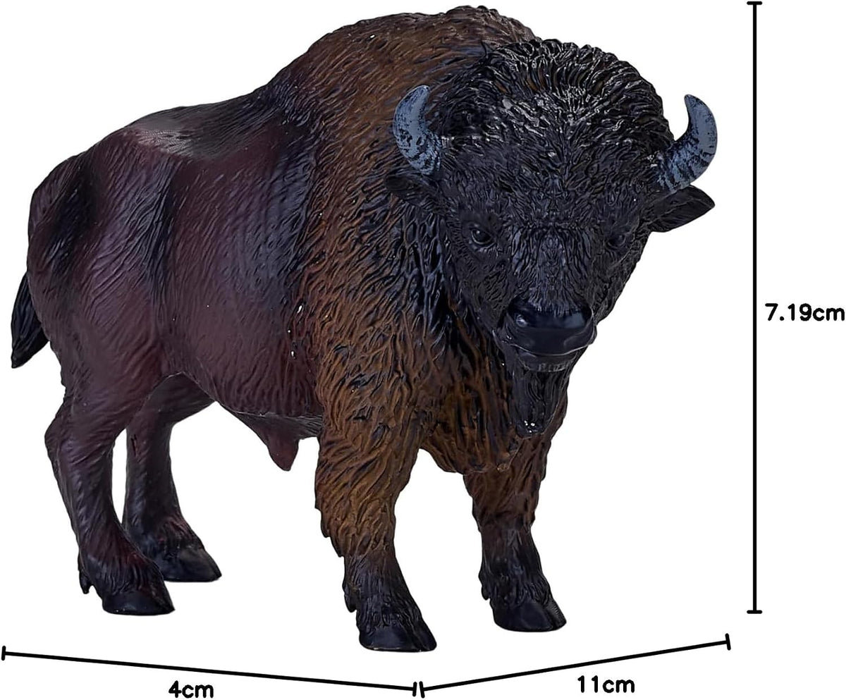 MOJO - American Bison / Buffalo
