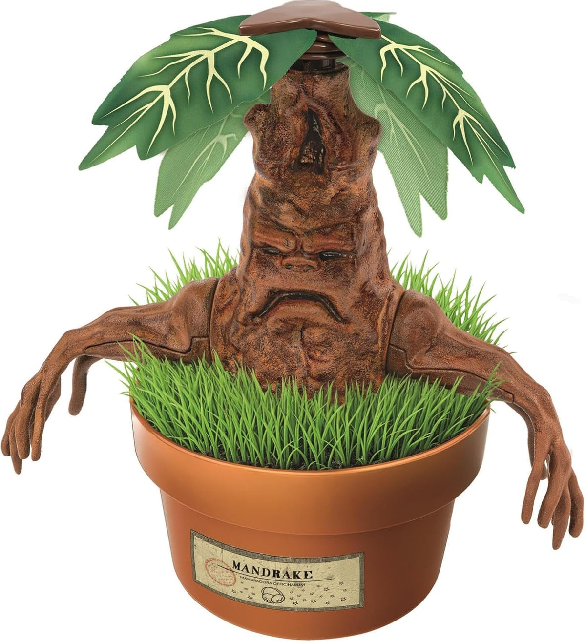 Clementoni Harry Potter Mandrake Terrarium Kit