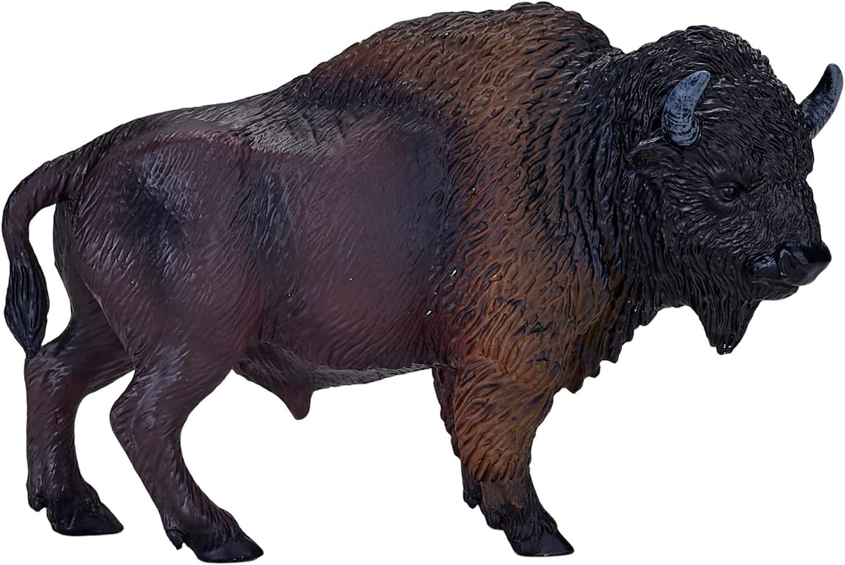 MOJO - American Bison / Buffalo
