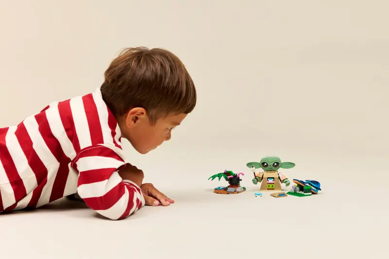 Lego 75443 Grogus Homestead