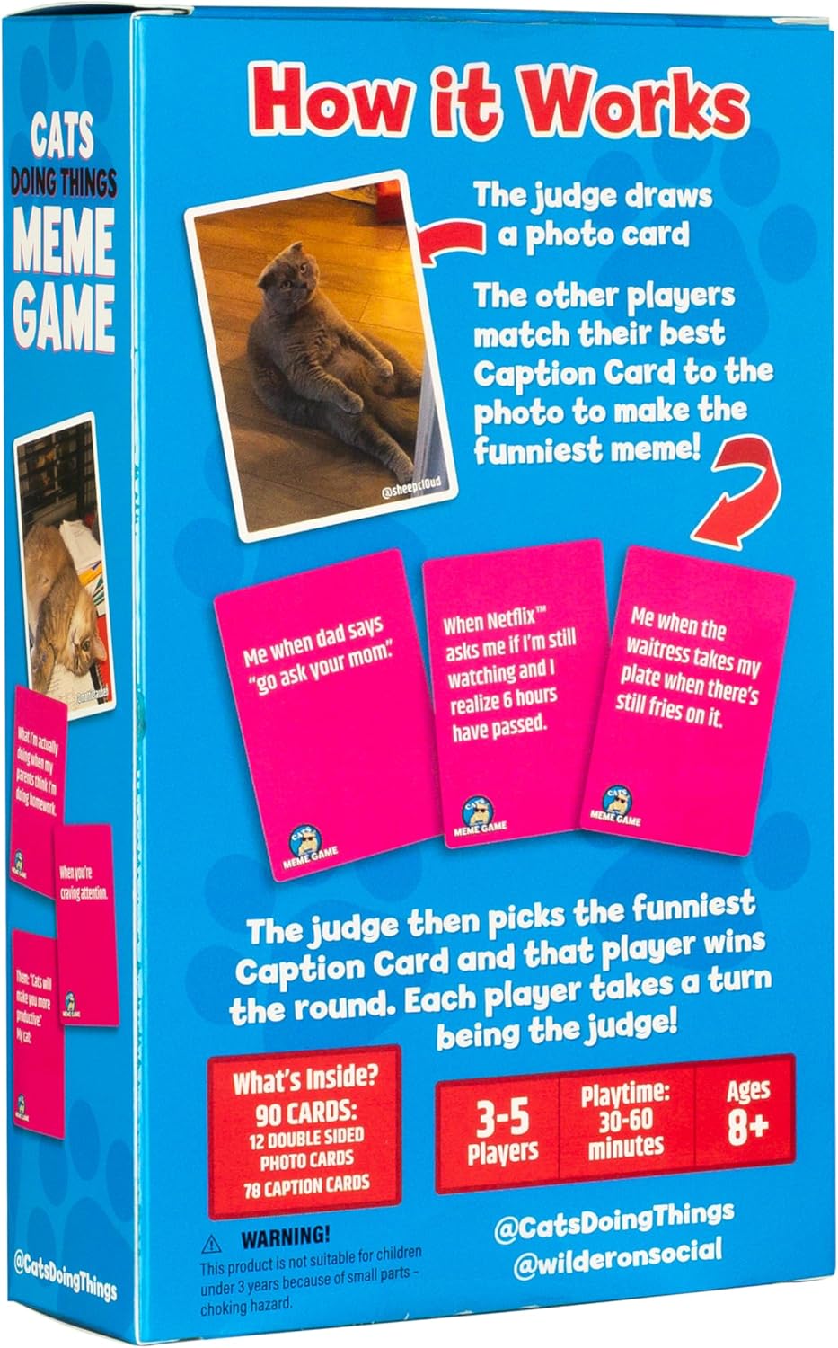 Cats - Doing Things Meme Game